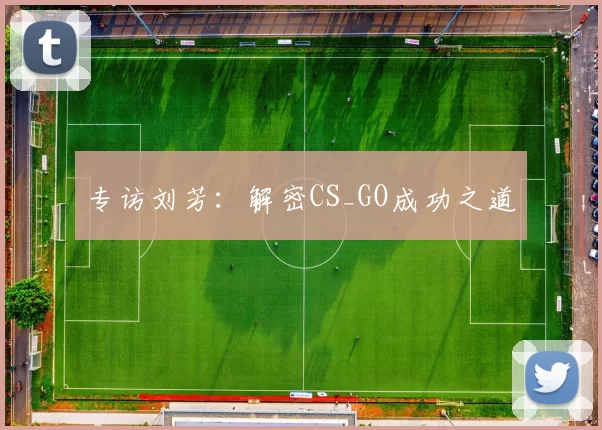 专访刘芳：解密CS_GO成功之道