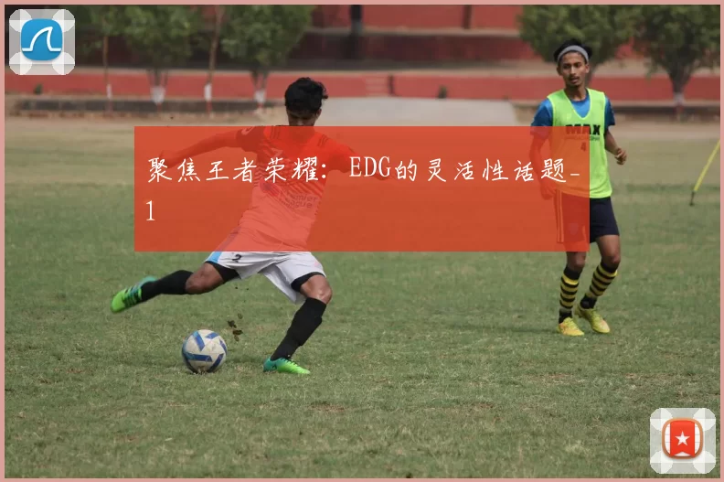 聚焦王者荣耀：EDG的灵活性话题_1