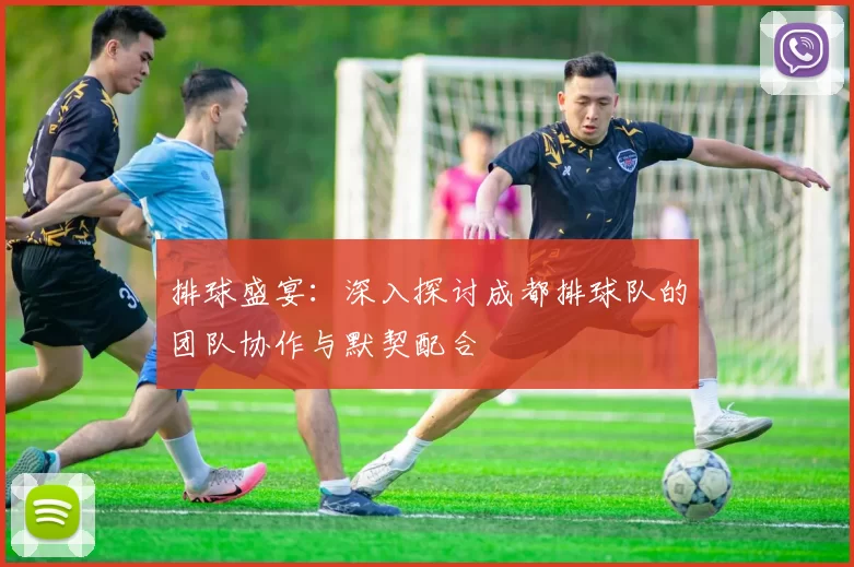 排球盛宴：深入探讨成都排球队的团队协作与默契配合