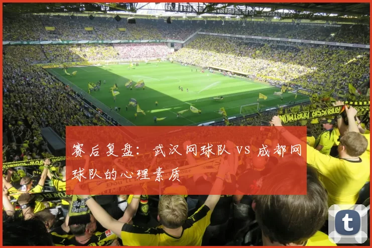 赛后复盘：武汉网球队 vs 成都网球队的心理素质