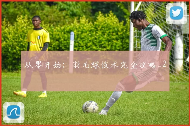 从零开始：羽毛球技术完全攻略_2