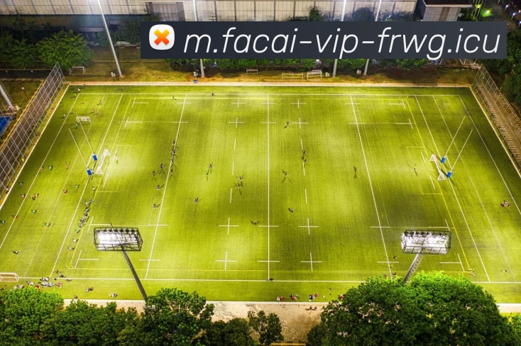 华体会体育发展历程