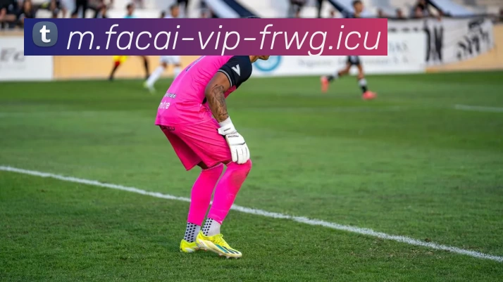 科学排球训练方法与比赛经验提升的全面指南